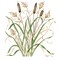 New Cattails Wall Stencil | 2607 by Designer Stencils | Reusable Art Craft Stencils for Painting on Walls, Canvas, Wood |